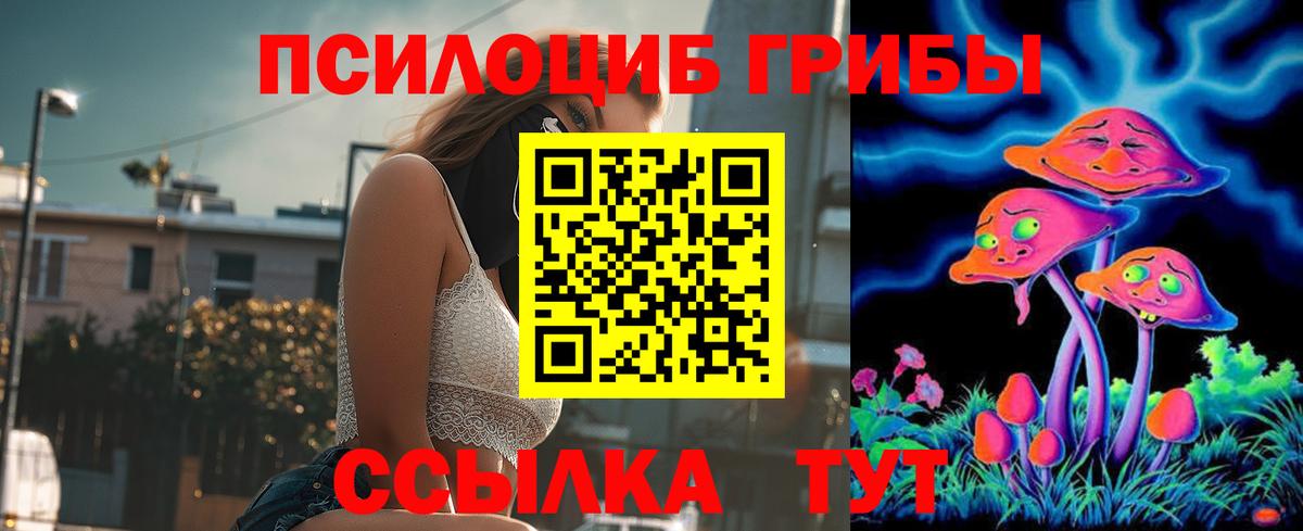 Псилоцибиновые грибы Psilocybe  Вход с VPN  Галлюциногенные грибы мицелий  Реж 